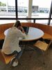 Es ist eine Studentin zu sehen, die gerade an einem Online-Meeting teilnimmt.