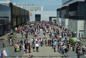Bild einer Menschenmengen auf einer Anime und Manga Messe
